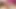 Venus lux sikikleri sarah vandella