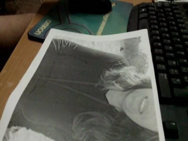 tributo me regalan