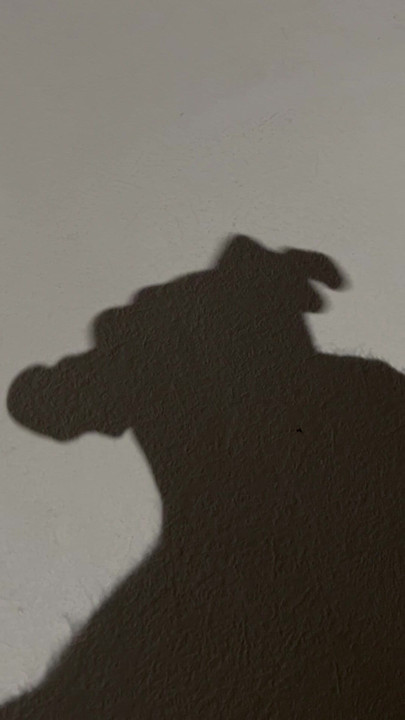 Shadowplay Cumshot