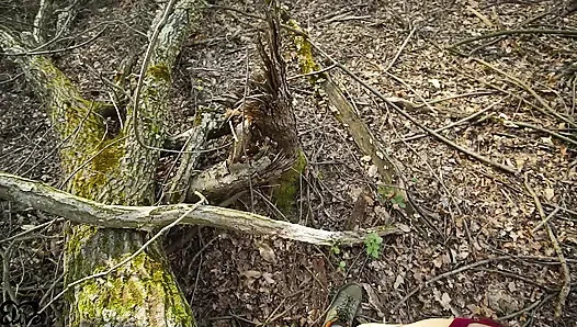 Looking for HARD TRUNKS to saw!(amateur sex in the woods)