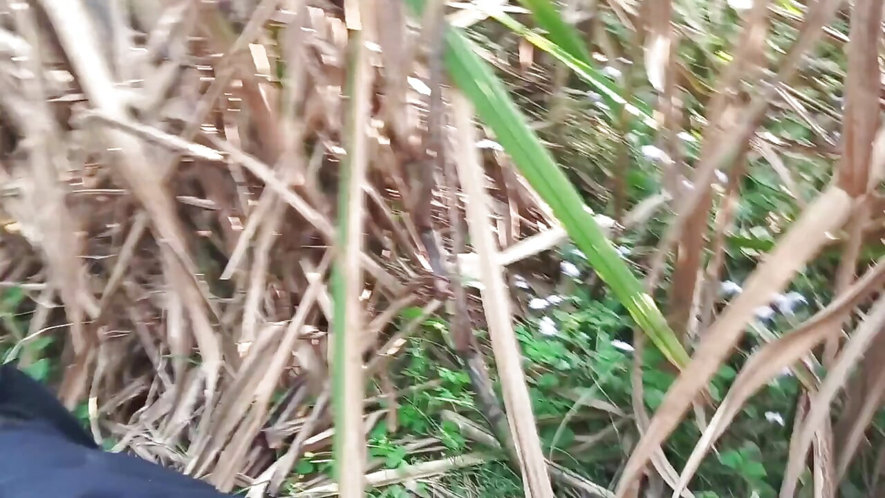 Grande Aas ao ar livre, vídeo de sexo hindi