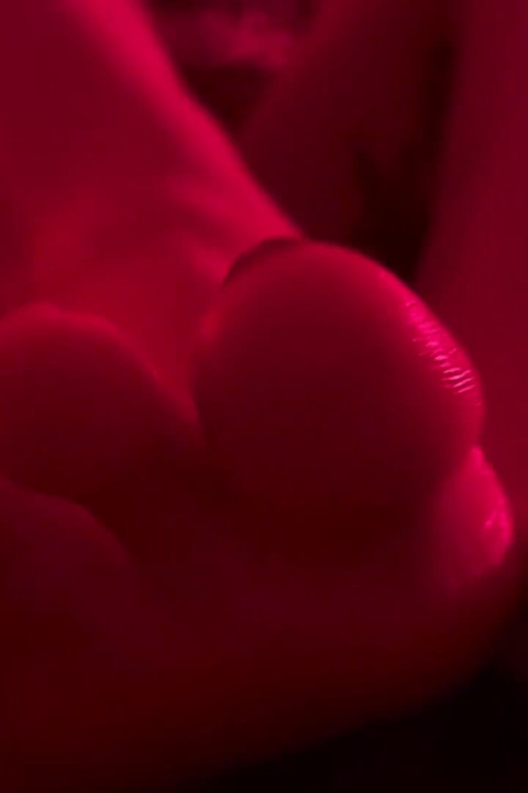 A Scarlet Kind of Dream