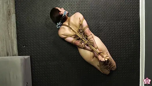 Sklavin milas 5x hogtie Nightmare Squirming, schlucheln und quietschende kämpfe machen sie zu tropfendem bondage-chaos