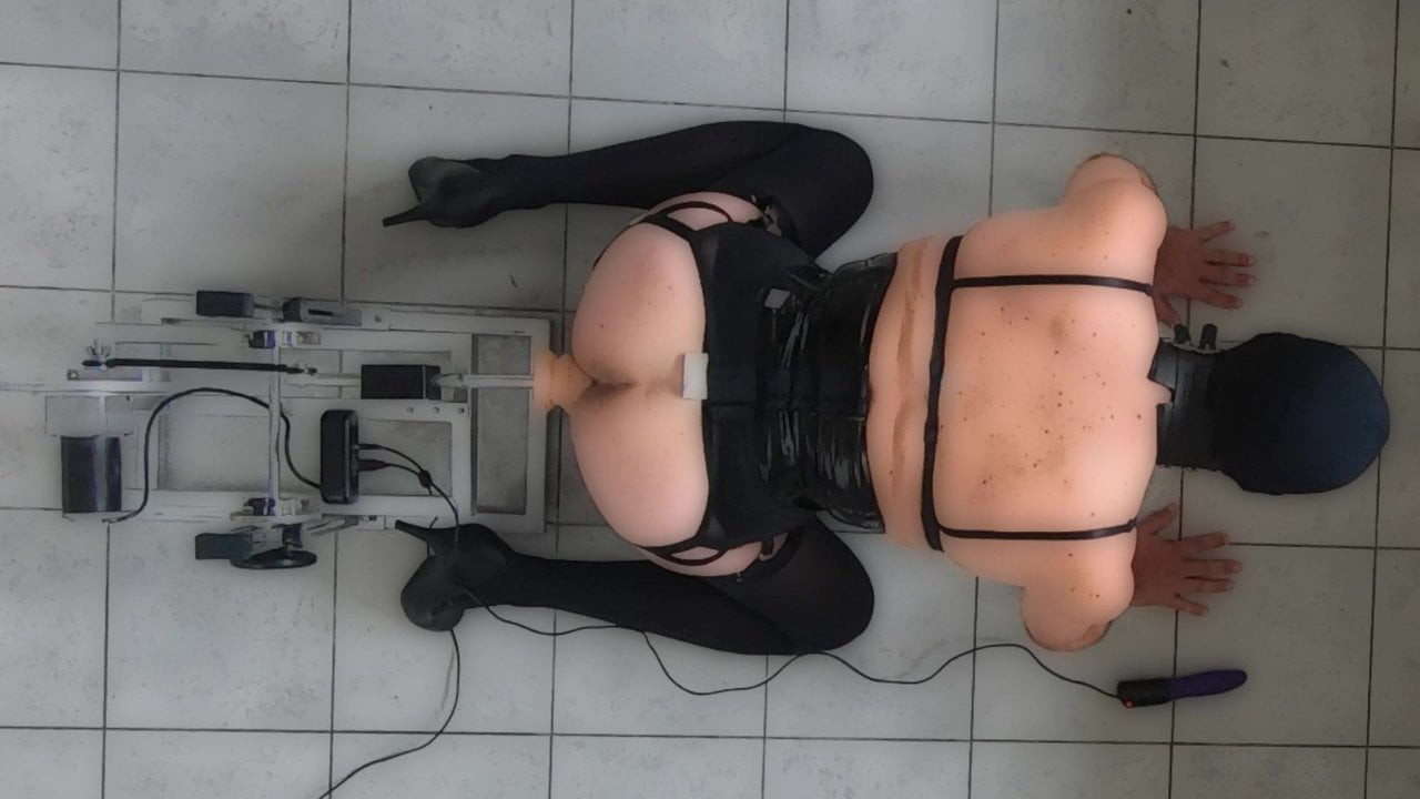 4 legs training
