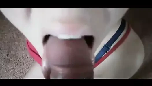 white girl takes Indian cum