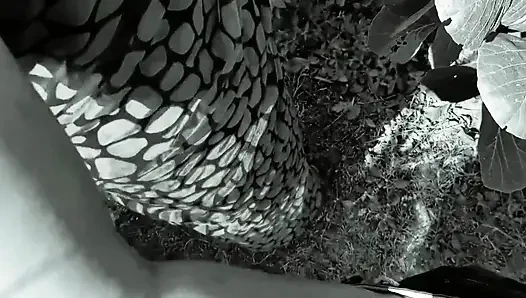 Taking Me to the Forest, She Said, Fuck Me, Rajaji, I Am Feeling Very