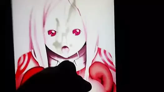 Shiro SOP