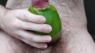 Runkar iväg med en mango