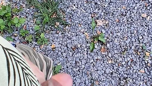 Risky handjob public