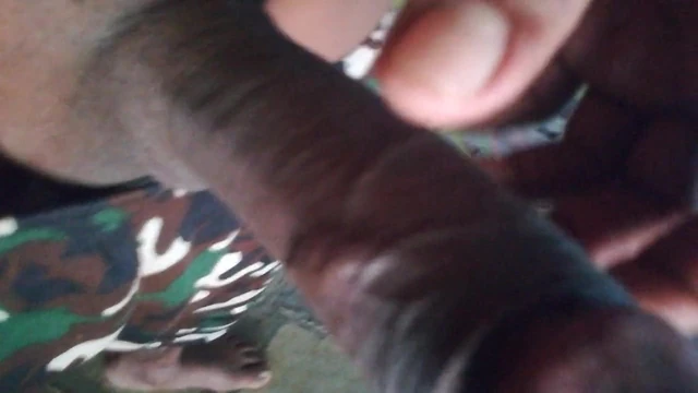 Desi land