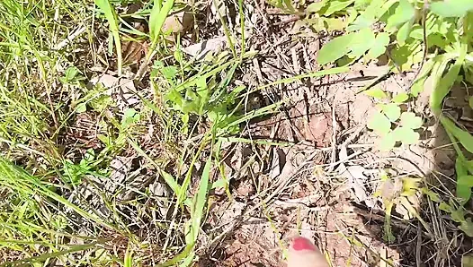 Memek kencing untuk perawatan pohon bunga
