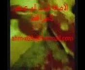 arab amara