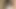 Black dick masturbate till water come very satisfied