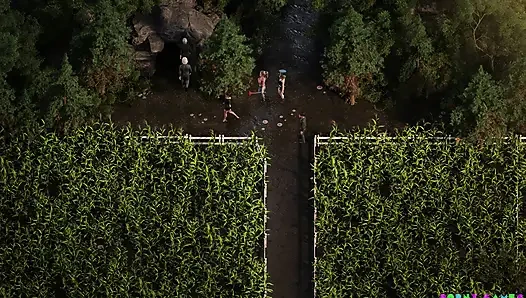 Urutan genesis (oleh NLT) - bagian. 29 (NVO)