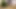 Masturbating mother-in-law gets son-in-law's hot cum near the Christmas tree
