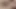 Close Up Fucking a Virgin! Amazing Creamy Pussy and Cumshots