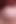 Homemade Close up of Tits Licking of Modest Wife