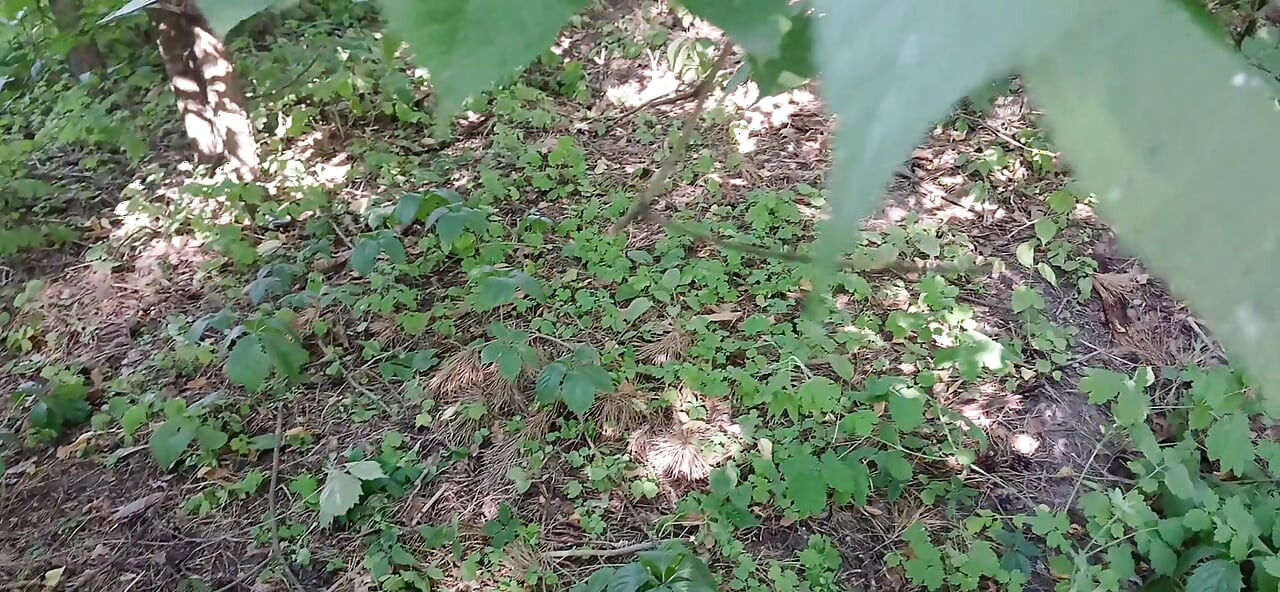 Moja djevojka i ja riskiramo drkajući na javnom mjestu