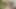 Teenfidelity minyon olivia ışıltı gösterileri kapalı ona pürüzsüz kedi