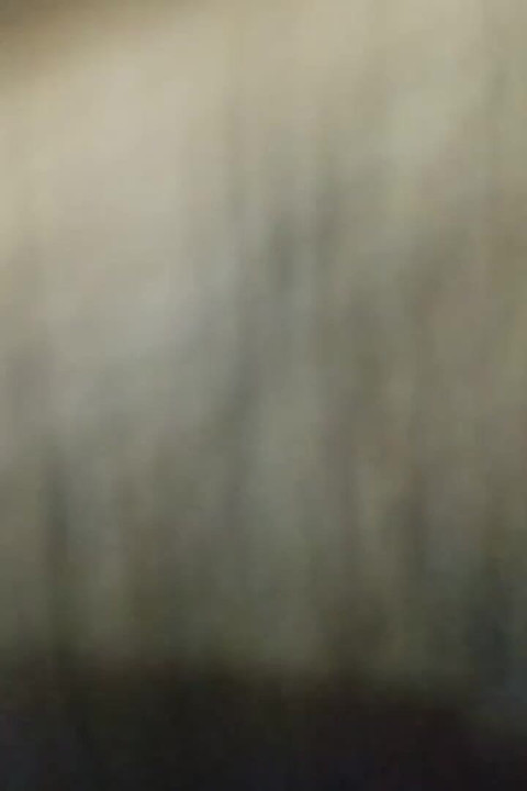 Bhabhi Ki Mast Jawani Sexy' Boobs Chut Nipple