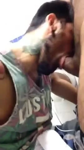 Traga polla