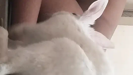 Муж-жена, полное сексуальное видео Deshi на хинди