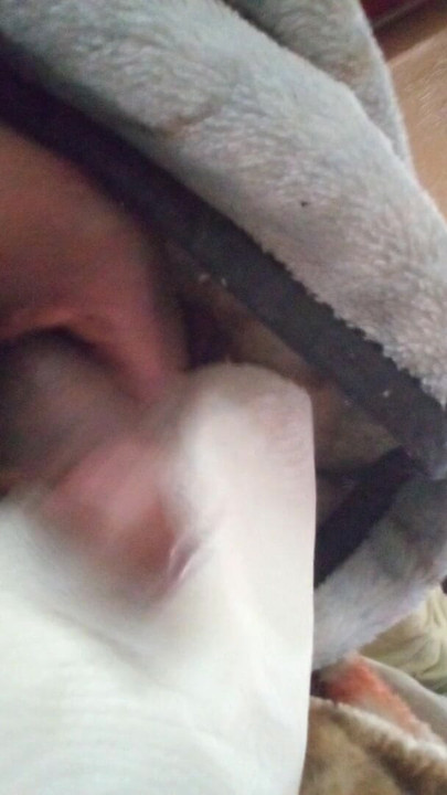 BBC solo masturbation with oil