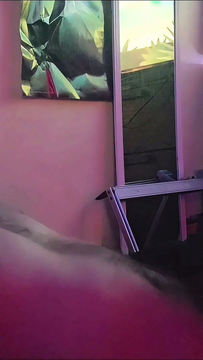 Everyday is Cock Worship Day | Clip 2