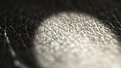 Intro Misterguanto