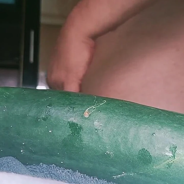 Marrow and Cucumber