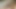 (OF) RC Calcillie Sexy Latina Top View Cumming