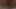AnalMasturbathon