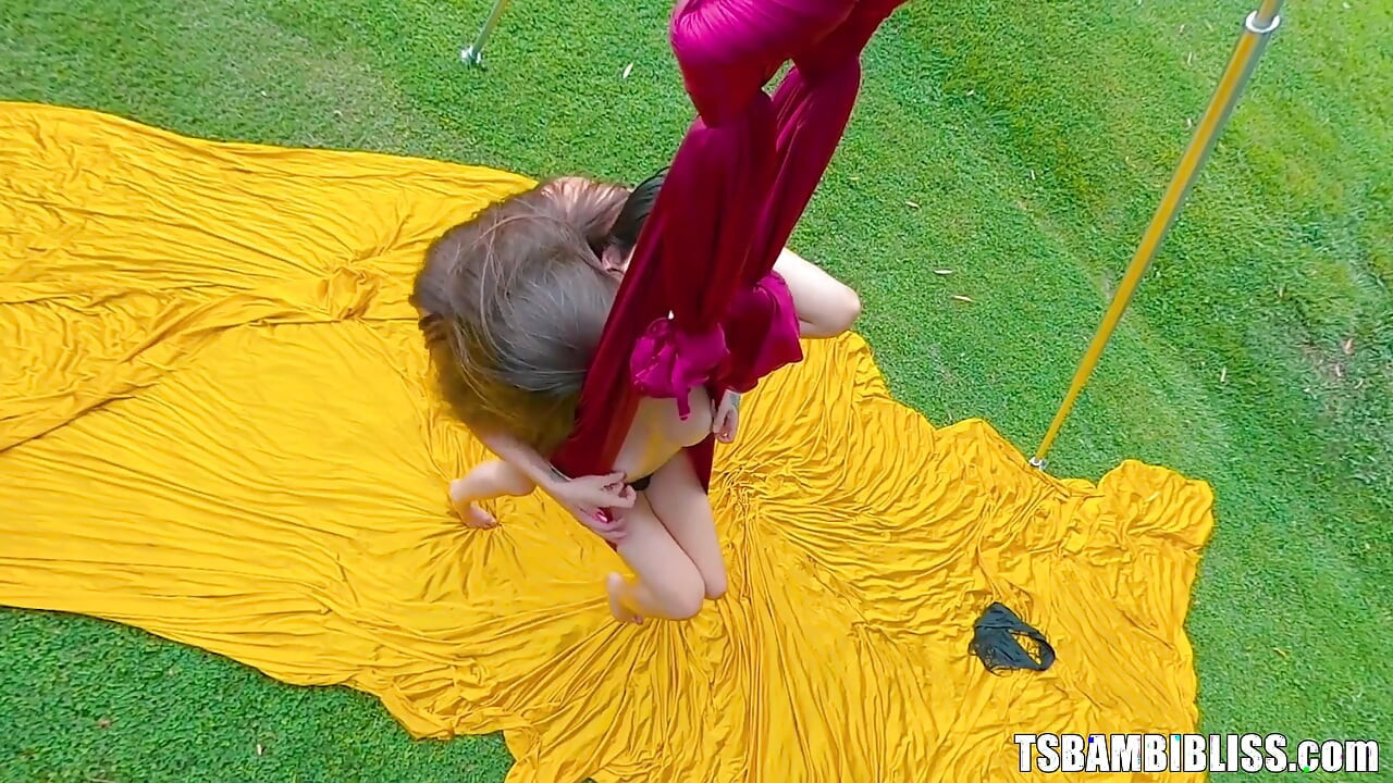 Fucking on the Swing