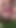 Orta yaşlı seksi kadın dışarıda kayıp