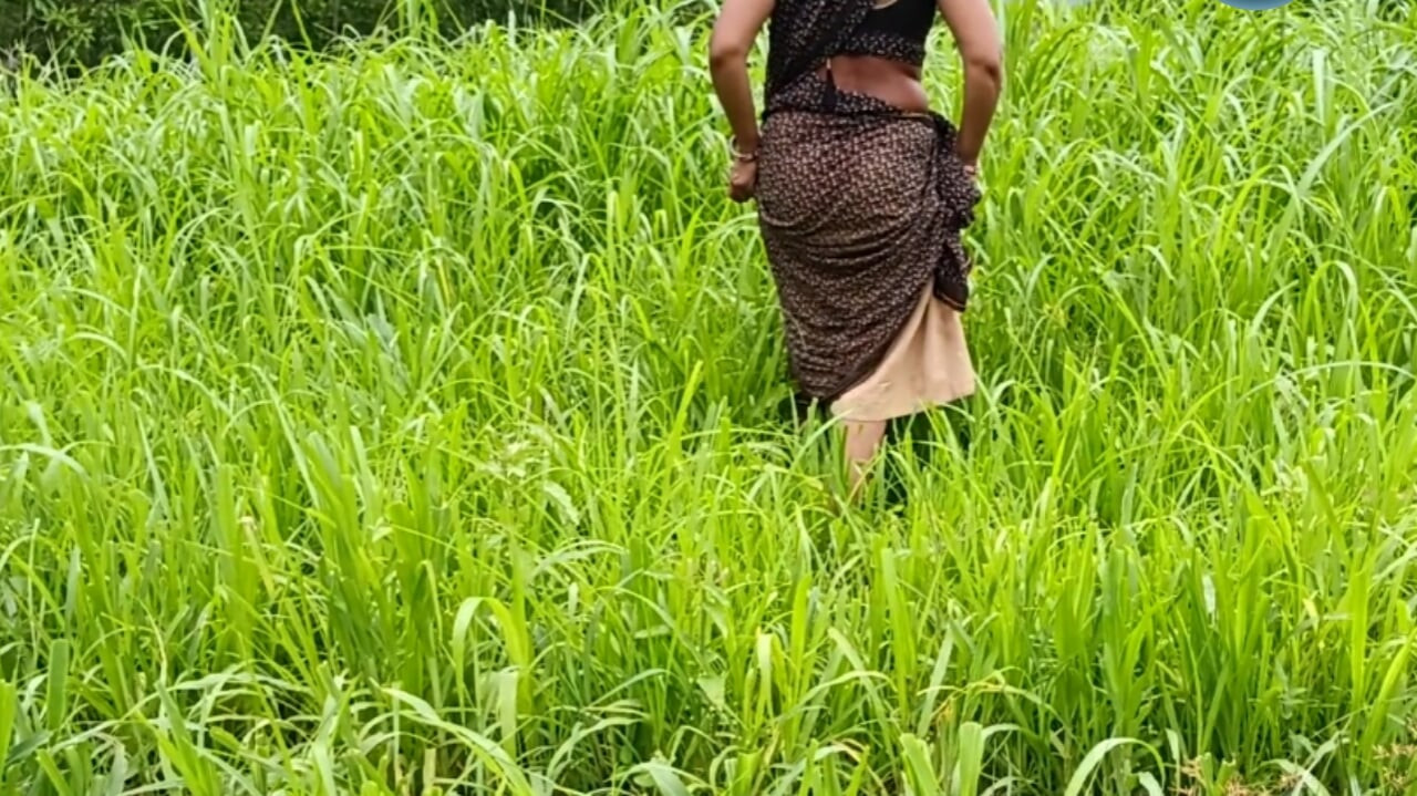 The desi daughter-in-law of the village is taking off her clothes in the millet field and showing her finger in her pussy to her father-in-law.
