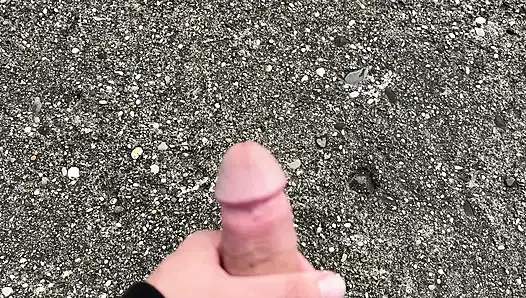 Denize gelen turiste doğal protein sallamasıyla muamele ettim. Edepsizce konuşarak