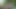 Squirt in the forest. Real orgasm