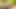 Amateur mutual masturbation until cumshot