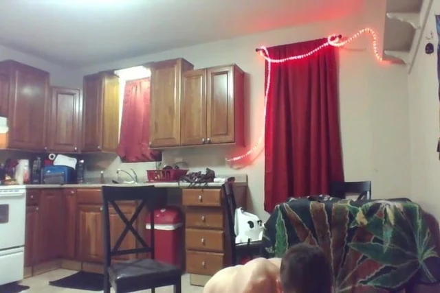 Fucking on the kitchen table