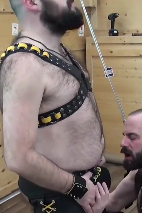 BEARFILMS - Niedźwiedzie Steve Sommers i Bearsilien oklep ciężko