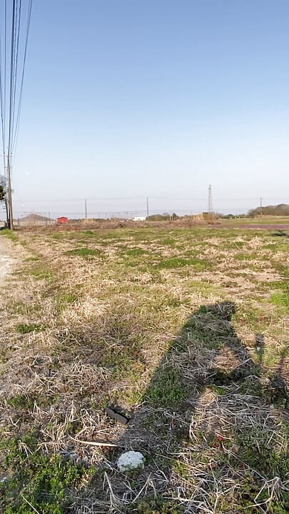 No157 Tama yokan insertion walk