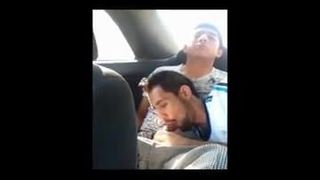 Suck Dick In Car