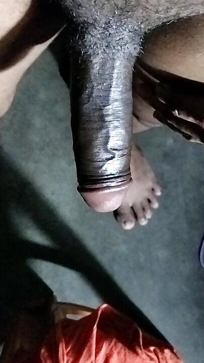 My Big Desi Panis, ινδικές πούτσες