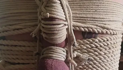 Goode Mädchen Sprengt Die Eier Der Mama, CBT-wichsanleitung