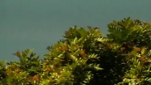 Harika esmer bebek havuz başında yarağa biniyor