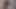 watch my cock, getting hard with a drop of precum