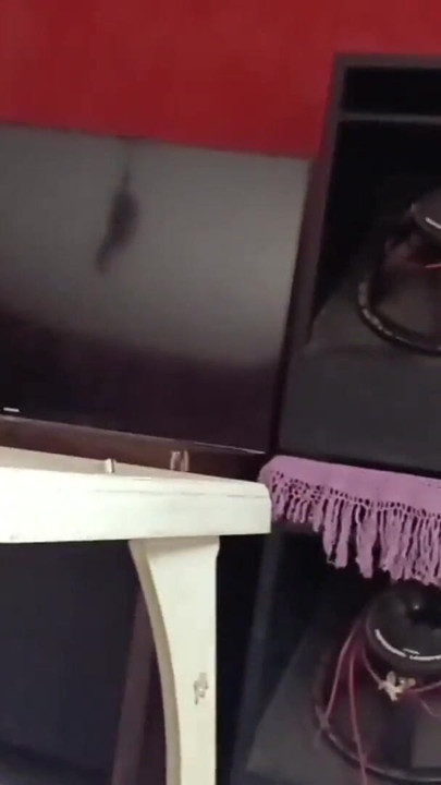 Unforgettable moment from "Taking out the milk without a condom before going to school"