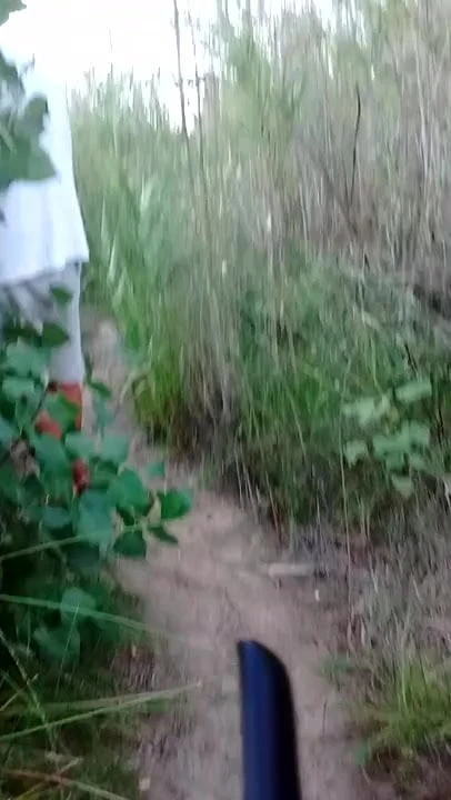 Paqueteando Bulto camino de la fotenda 2