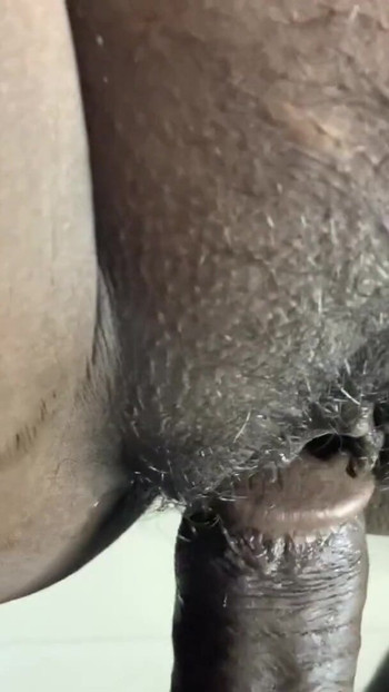 Atemberaubender moment aus "Stiefbruer und stiefschwein ficken sexvideo hindi audio"