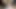POV Horny Adventure in the Forest